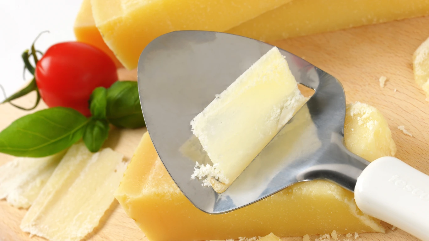 Key features to consider when searching for the best cheese slicer - ReviewVexa.com