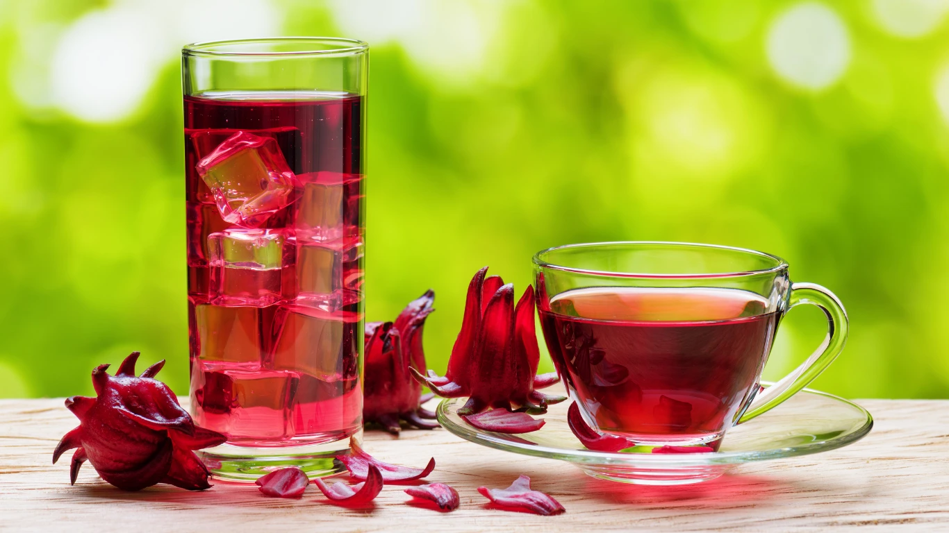 What to Avoid When Drinking Hibiscus Tea - ReviewVexa.com
