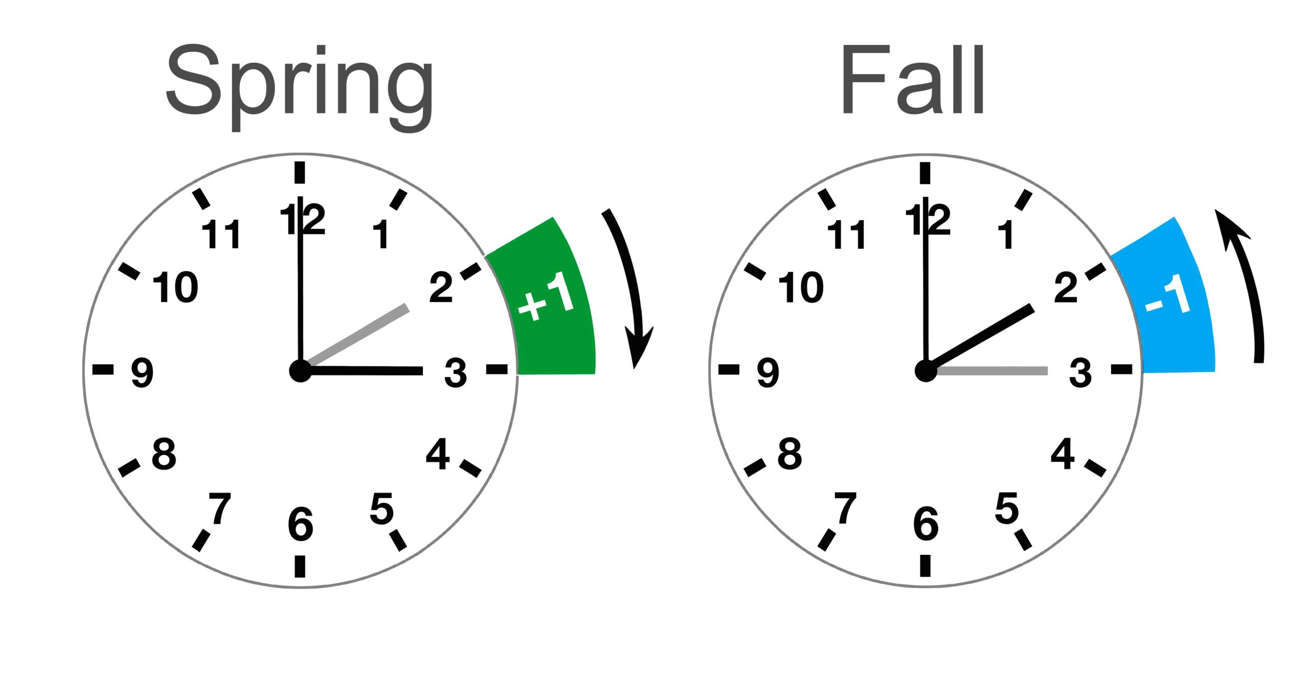 Spring Forward Fall Back Understanding the Impact of Clock Shifts - ReviewVexa.com